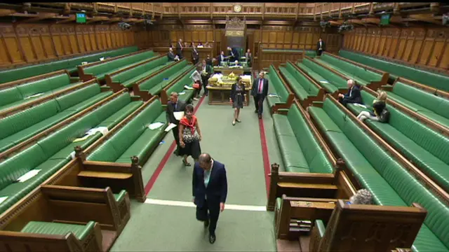 MPs voting