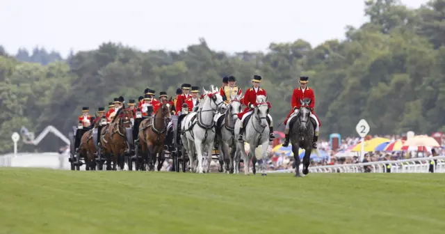 Horses of the royal procession