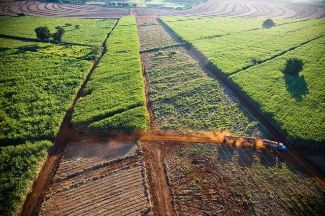 Aerial view of plowed land for sugarcane plantation near Ribeirao Preto, the world greatest productive pole of ethanol and sugar, Sao Paulo State, Brazil