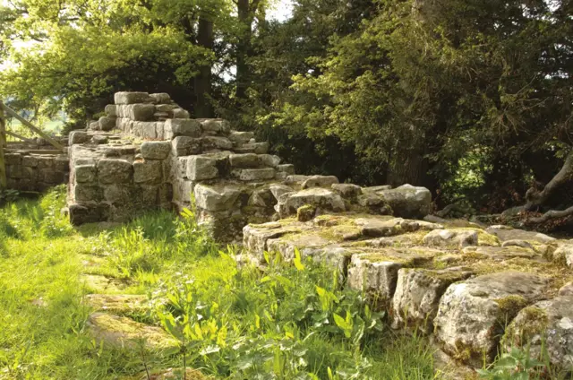 Hadrian'sWall