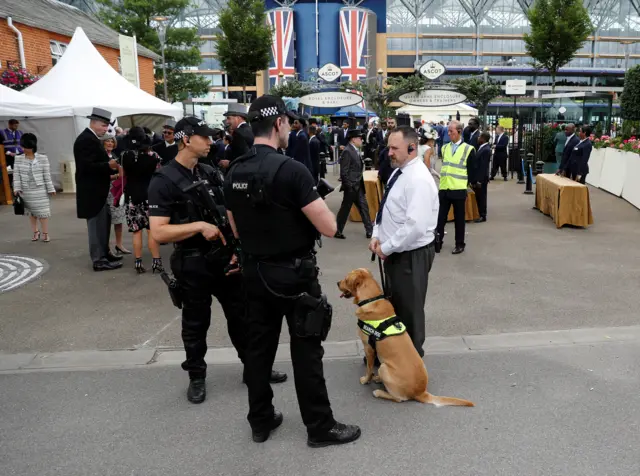 Sniffer dogs at the entrance to Ascot