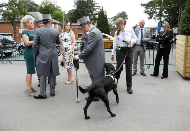 Sniffer dog