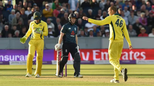 Ashton Agar celebrates dismissing Eoin Morgan