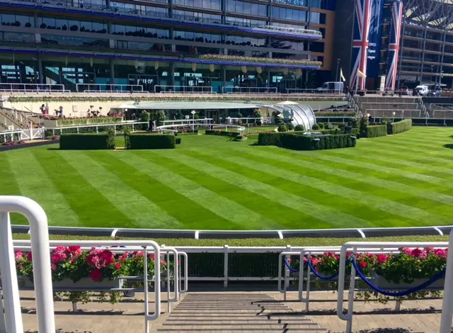 Ascot racecourse paddock