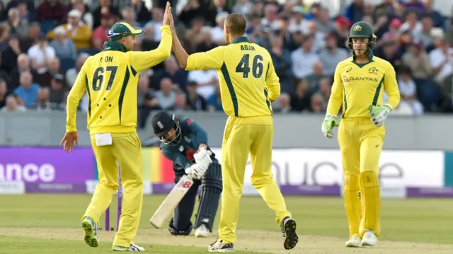 Ashton Agar celebrates dismissing Joe Root