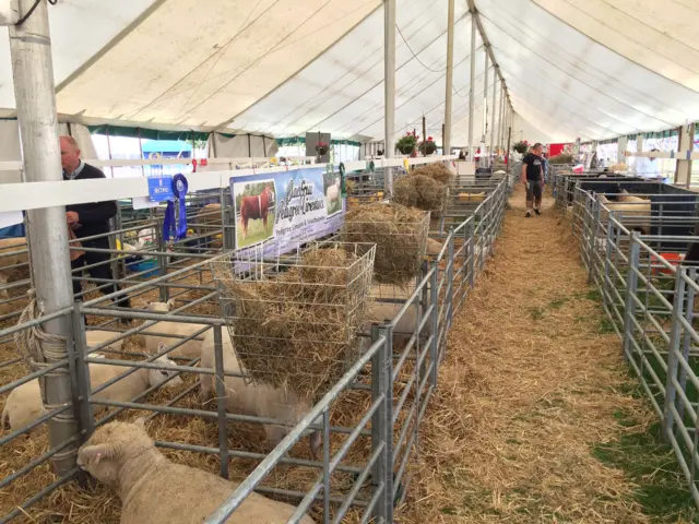 Lincolnshire show