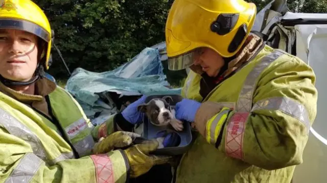 Fire fighters with puppy