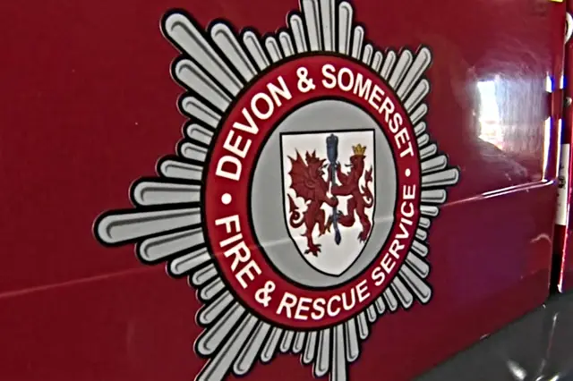 Devon and Somerset Fire Service logo