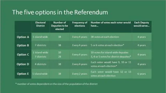 Referendum options