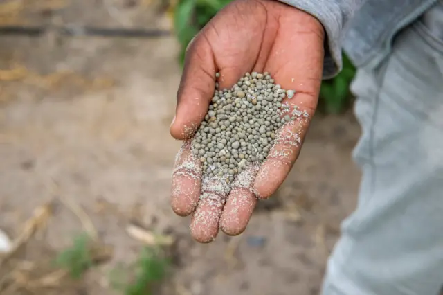 Fertiliser pellets