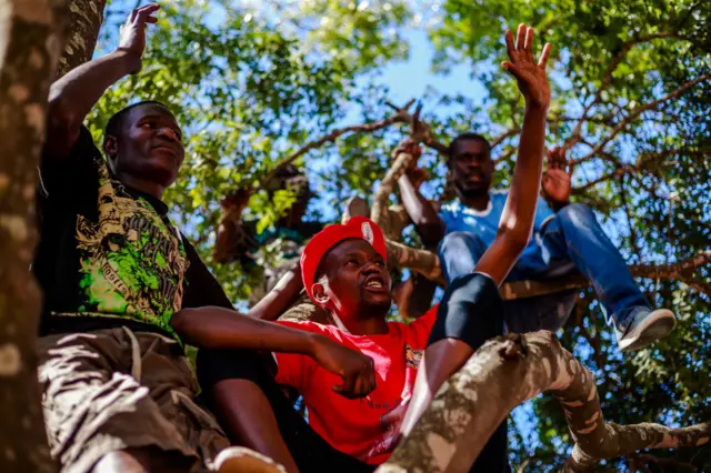 Opposition Movement for Democratic Change (MDC) supporters watch a political rally from a tree