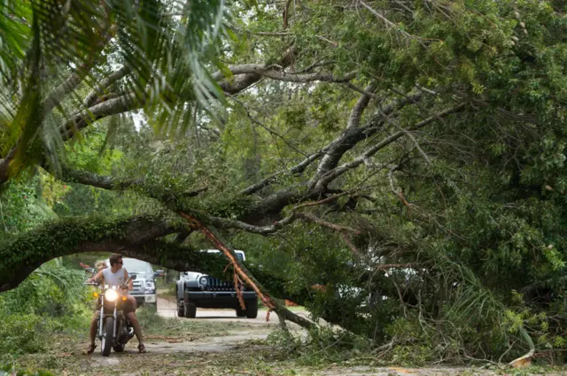 A man on a motorbike looks at a fallen tree