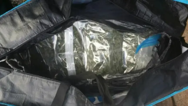 Cannabis. Pic: South West Regional Organised Crime Unit.