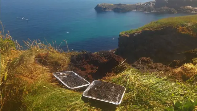 Barbecues on Port Issac cliff