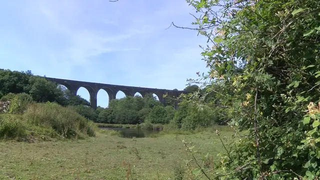 Tavistock viaduct