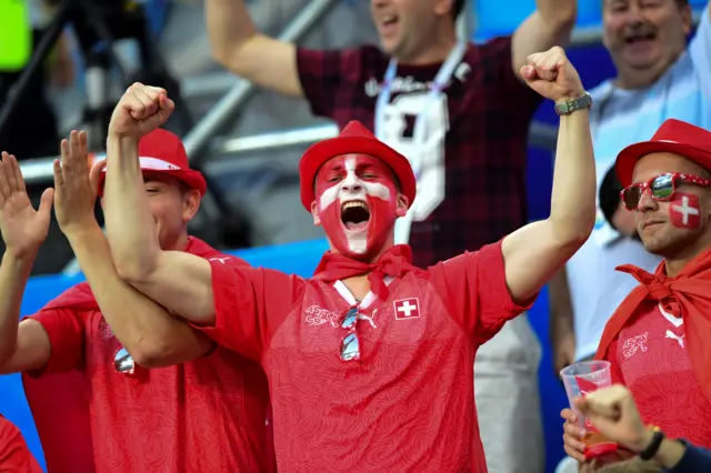 Switzerland fan