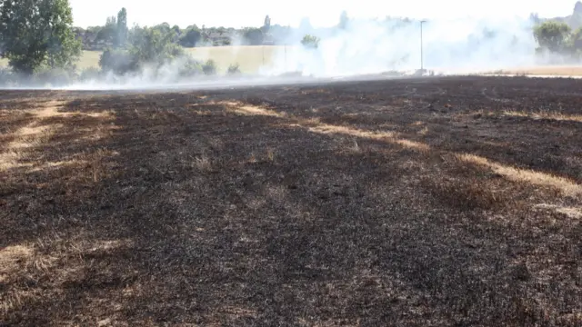 Blackened field with smoke rising