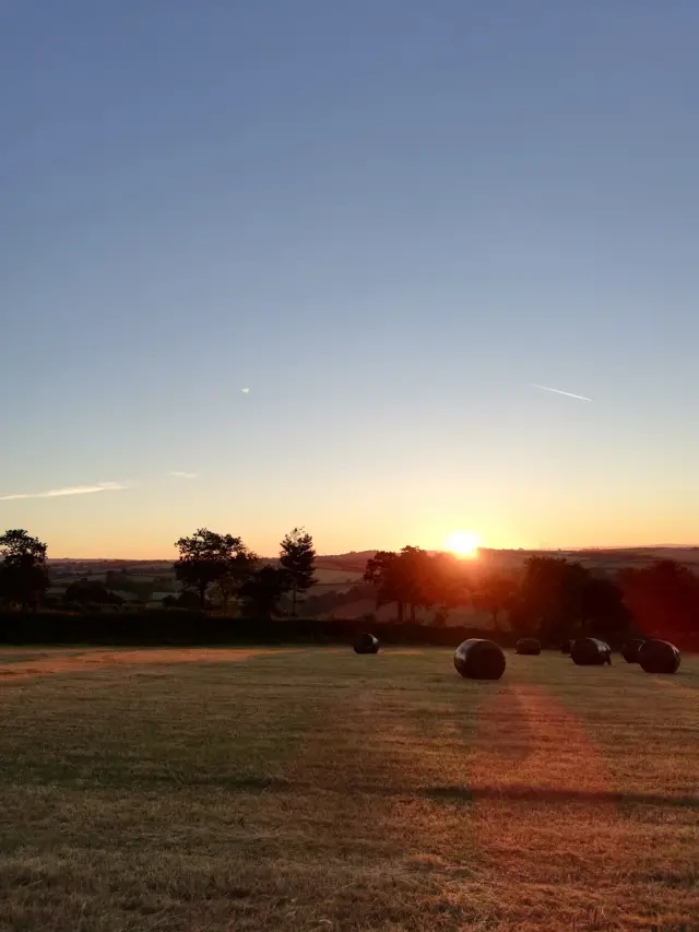 sunrise over a field