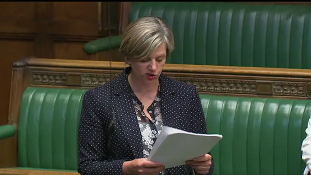 Chair of the Transport Committee, Lilian Greenwood