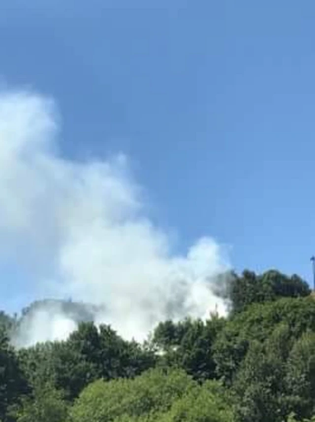 Plumes of smoke above woods near Golcar, Huddersfield