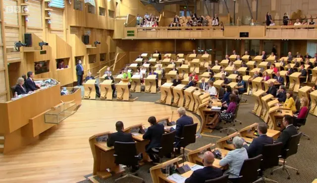 Rhoda Grant standing in the chamber