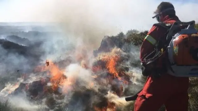 Specialist wildfire officer in action.