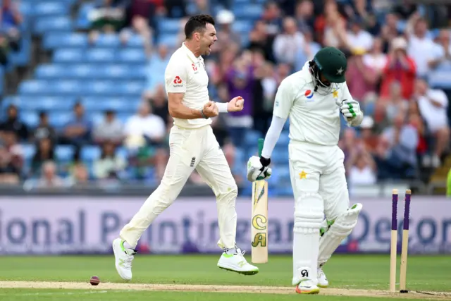 James Anderson celebrates