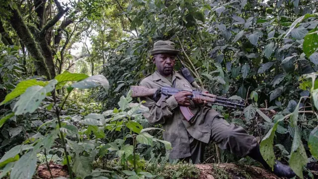 A Virunga Park ranger, DR Congo