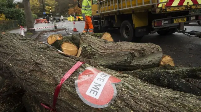 Felled tree with Save Me slogan across its trunk