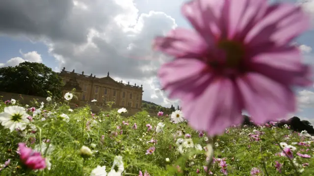 Flowers at Chatsworth