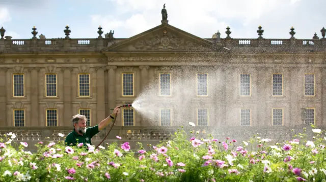 Man watering flowers