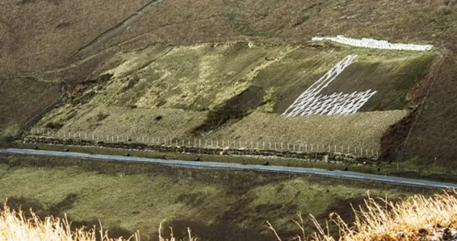 Site