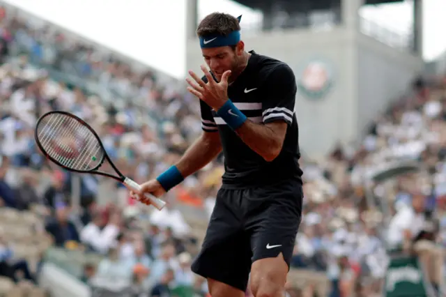 Juan Martin del Potro
