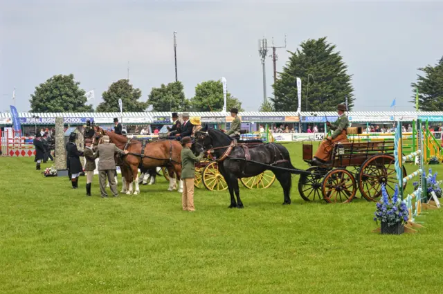 Horses and carriages