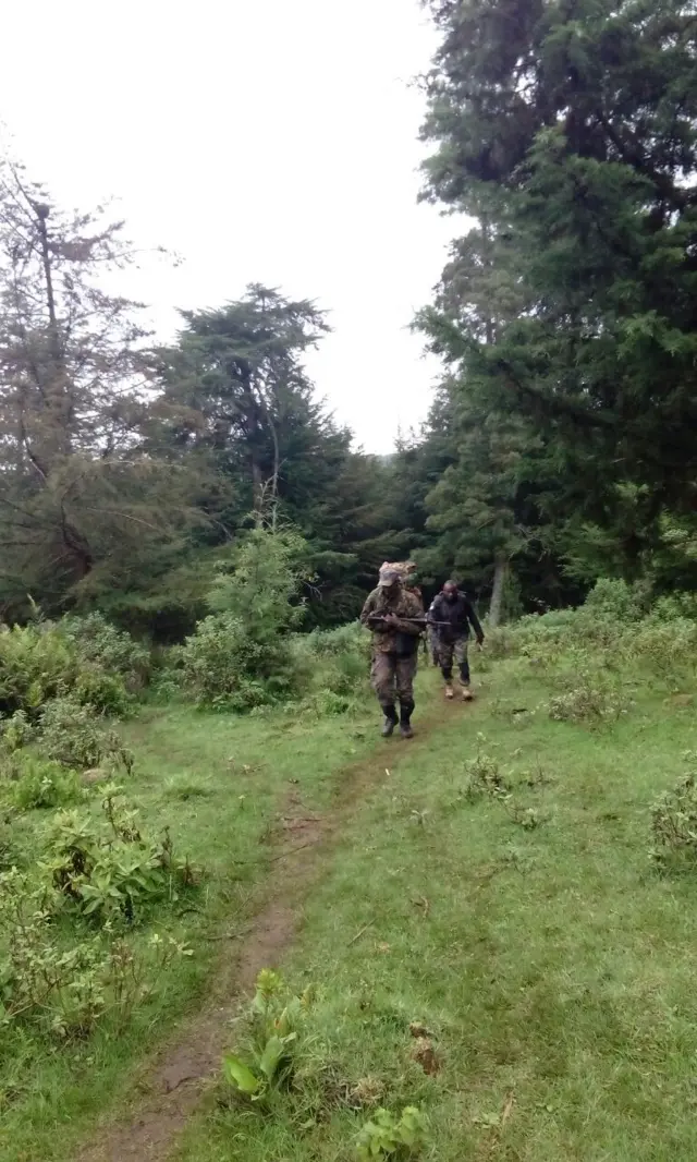 Rescue workers walking up the Abedare mountains, Kenya