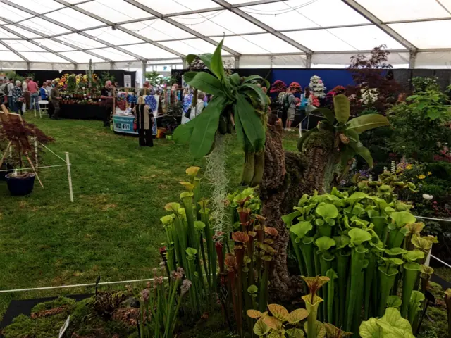 Flower Show marquee