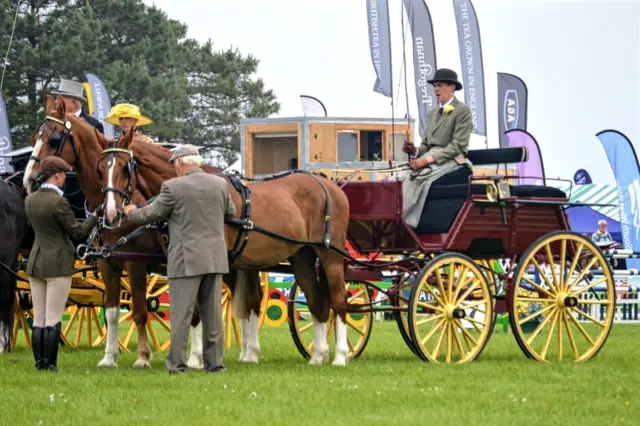 Horse and carriage