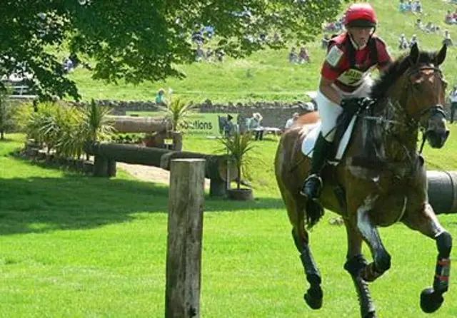 Horse galloping