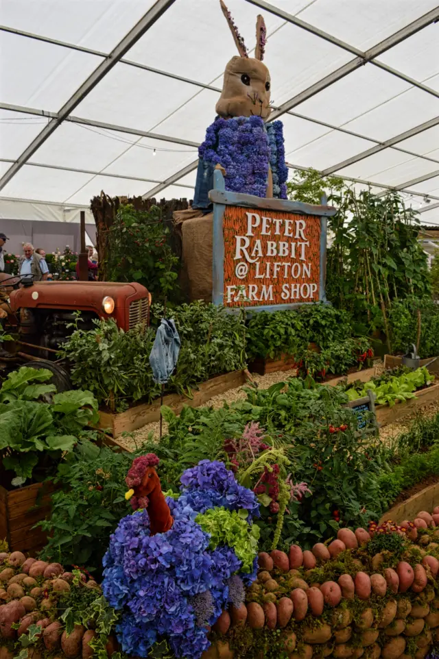 Peter Rabbit display