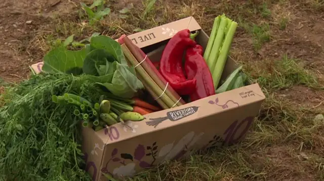 box of vegetables