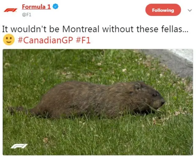 Formula 1