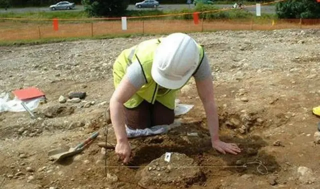 Archaeological dig