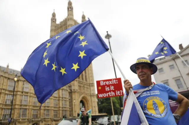 Brexit protestor outside Parliament