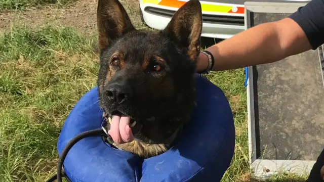 PD Axle