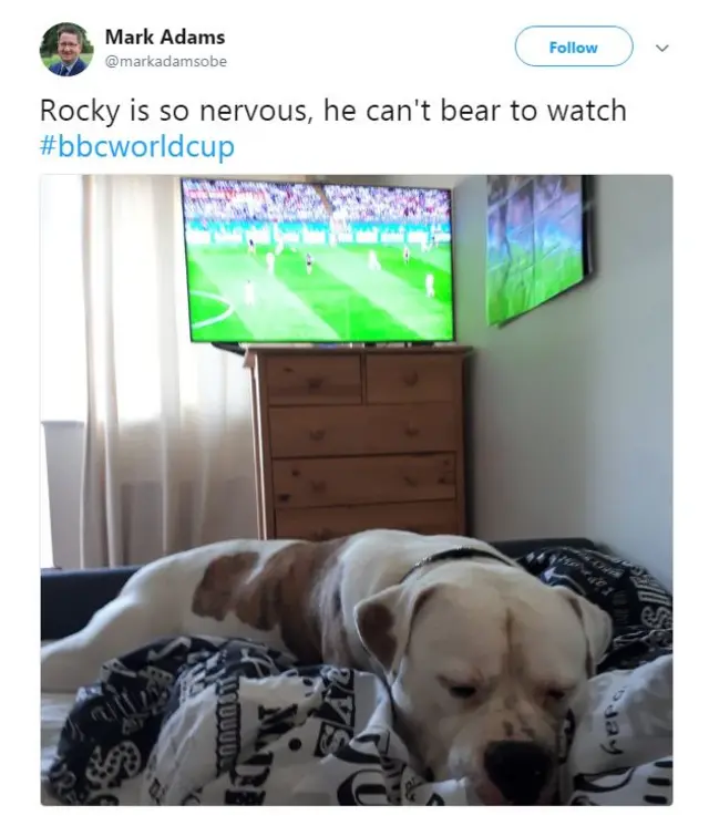 England fan tweets his dog