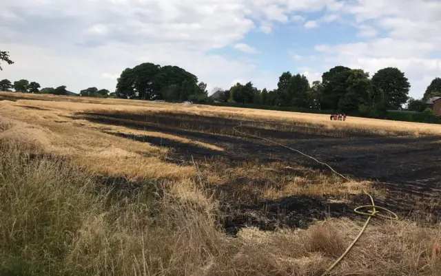 Wheat fire in High Legh