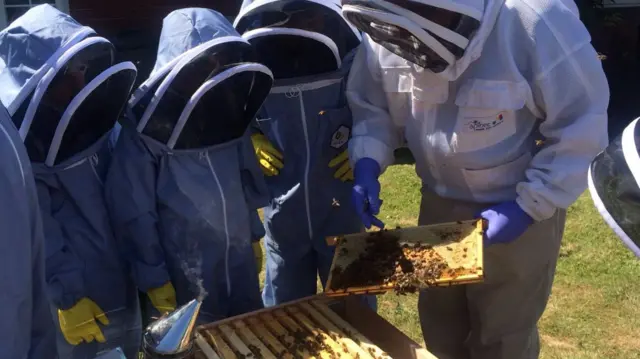 Four people wearing protective suits look at a beehive