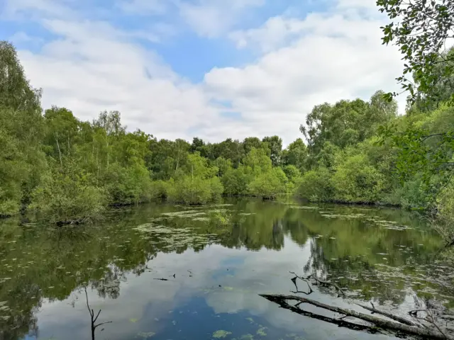 Bracebridge Heath