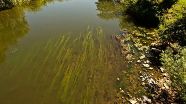 River Wye