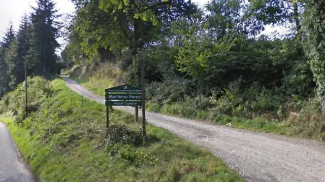 Mortimer Forest, near Ludlow